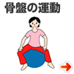 骨盤の運動