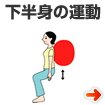 下半身の運動